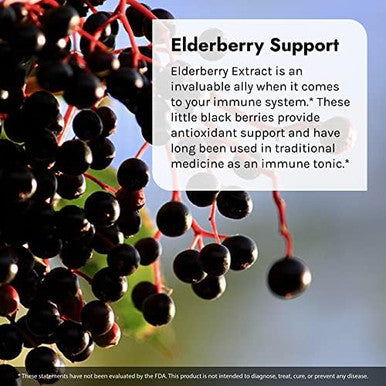 Irwin Naturals Immuno Shield With Elderberry 60 Sgels