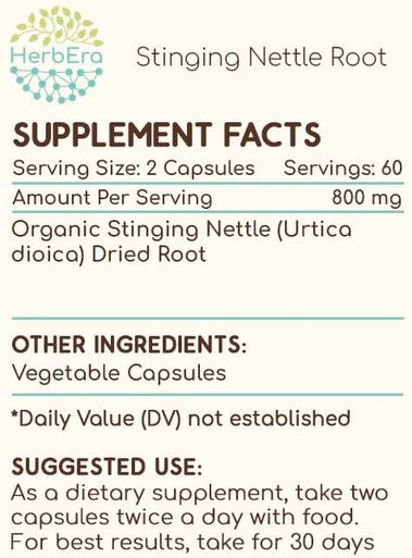HerbEra Stinging Nettle Root 120 Capsules, 400 mg, Stinging Nettle (Urtica Dioica) Dried Root (120 Capsules)