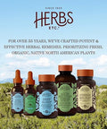 Herbs Etc. Deep Sleep Classic Liquid Extract Holistic Rest Supplement for Restful Sleep Chamomile Lemon Balm