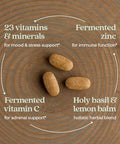 Chapter Perfect Calm - Daily Multivitamin For Stress & Mood Support With B Vitamins + Holy Basil + Lemon Balm + Organic Non-Gmo Ingredients - 144 Count