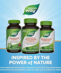 NatureS Way Magnesium Glycinate Complex Supports Heart Muscle Nerve Function Highly Absorbable 220 Mg Per 2Tablet Serving No Gluten Vegan 120 Tablets (Packaging May Vary)