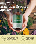 Herbamama Broccoli Sprout And Ashwagandha Root Kit - Bundle Of 1000 Mg Broccoli Sprout & 1500 Mg Ashwagandha Root Capsules - Vegan Non-Gmo Sugar & Gelatin- - 2 Pack