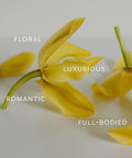 Ylang Ylang - Organic 100% Pure Premium Essential Oil