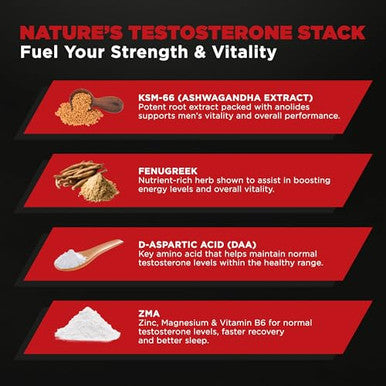 Leading Edge Health Testosil Men's 120 Capsules