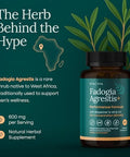 Etta Vita Organic Fadogia Agrestis 600Mg For Natural Test Support (2X More Pure - 3X More Absorbent) Athlete Approved - Supports Muscle Growth & Recovery Healthy Energy Levels Drive Stamina & Mood 60Ct