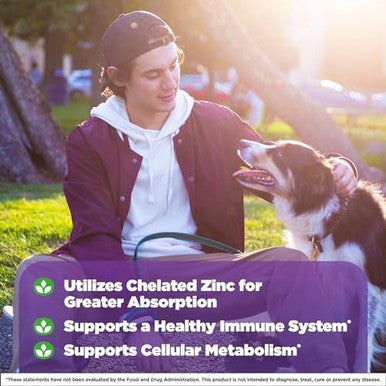 Natrol High Absorption Zinc 7.5 Mg Per Serving, Dietary Supplement For Immune Health, Chewable Tablets For Adults, 60 Zinc Tablets, 60 Day Supply