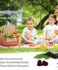 Afxmate Sambucus Elderberry Gummies Black Elderberry With Zinc And Vitamin C For Adults Sugar Free Kids Immune Support* Supplement Gummies (2 Pack)