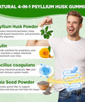 Natisland Psyllium Husk Gummies 1500Mg Psyllium Husk Fiber Supplement With Probiotics Inulin Chia Seed Powder For Gut & Digestive Health Regularity Vegan Sugar Free 60 Chewable