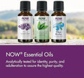 Now Essential Oils Cinnamon Bark Oil Warming Aromatherapy Scent Steam Distilled 100% Pure Vegan Child Resistant Cap 1Ounce