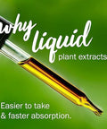 Herb Pharm Milk Thistle Seed Liquid Extract For Liver Function Support - 1 Ounce