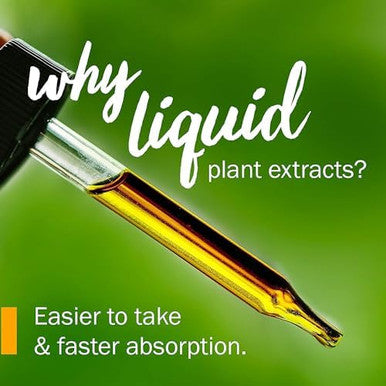 Herb Pharm Milk Thistle Seed Liquid Extract For Liver Function Support - 1 Ounce