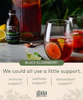 Gaia Herbs Black Elderberry Syrup 5.4 Ounce