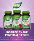 Nature'S Way Zinc Gummies, Daily Immune Support Gummies, 100% Daily Value Zinc Per Gummy, Mixed Berry Flavored, 120 Gummies (Packaging May Vary)