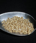 Whole Oats 5 Pounds Hulled, Groats, USDA Certified Organic Non-GMO Bulk, Mulberry Lane Farms