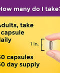 Nature Made Multi + Elderberry Capsules, Multivitamin For Daily Immune Support, One Per Day Multivitamin, 60 Count