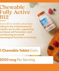 DoctorS Best Chewable Vitamin B12 Methylcobalamin For Men and Women Vitamin B 12 5000 Mcg Vit B12 Supplement Vegan Gluten Non Gmo Fully Active Mixed Berries Flavor 60 Tablets