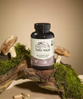 Terra Origin Healthy Mushroom Complex Supplement 90 Capsules Reishi Lions Mane Changa Cordyceps Maitake Immune & Nootropic Brain Support Usda Organic Non Gmo Vegan