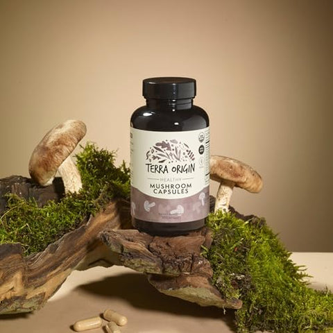 Terra Origin Healthy Mushroom Complex Supplement 90 Capsules Reishi Lions Mane Changa Cordyceps Maitake Immune & Nootropic Brain Support Usda Organic Non Gmo Vegan