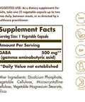 Solgar Gaba 500 Mg 100 Vegetable Capsules - Relaxation & Nervous System Support - Amino Acid - Non-Gmo Vegan Gluten Free Dairy Free Kosher 100 Servings