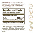 Solgar Gaba 500 Mg 100 Vegetable Capsules - Relaxation & Nervous System Support - Amino Acid - Non-Gmo Vegan Gluten Free Dairy Free Kosher 100 Servings