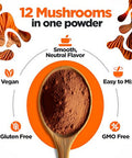 Kiki Green 12 Mushroom Powder 4 Oz