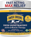 Amish Origins Pain Relief Ointment 3.5 Oz Maximum Strength All Natural Discomfort Reliever For Joint Muscle Knee Back Neuropathy