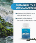 Organic Sea Moss Spirulina, 90 Capsules, 100% Organic Sea Moss Spirulina, Strength & Endurance- High Potency Sea Moss Supplement, Made In Usa, Superfood Capsules For Men & Women, Vegan