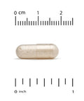 California Gold Nutrition Lactobif Probiotics, 30 Billion Cfu, 60 Veggie Capsules