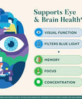 Neuriva Brain + Eye Supplement For Memory, Focus & Concentration With Lutein & Vitamins A C E And Zinc For Eye Health & Zeaxanthin To Filter Blue Light, 30Ct Capsules