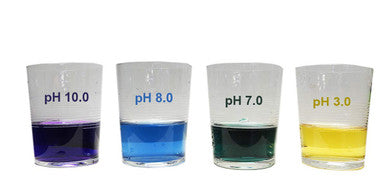 ALKAZONE pH Test Solution for Drinking Water | Highly Concentrated - 500 Servings