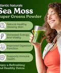 Atlantic Naturals Organic Sea Moss Super Greens Powder Greens Superfood with 12 Vegetables 15 Fruits Probiotics 16 Herbs and Spices Digestive Health Energy Skin and Immunity Mixed Berry Flavor