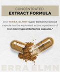Terra Elmnt 1950Mg Glp-1 Berberine Weight Loss Supplement Dihydroberberine Ceylon Cinnamon Chromium Picolinate Bitter Melon - 100X Strength Berberine 1500Mg Natural Appetite Suppressant Pills For Women