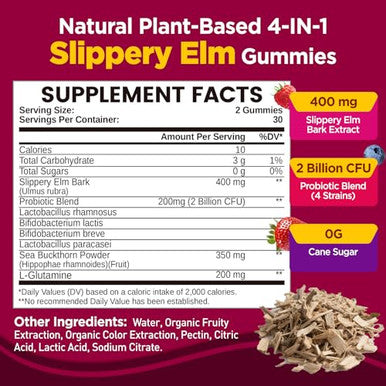 Natisland Slippery Elm For Women Gummies Organic Slippery Elm Bark Extract With Probiotics Sea Buckthorn L-Glutamine For Gut & Digestive Health Throat & Respiratory Support Sugar Free Vegan 60 Gummies