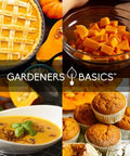 Gardeners Basics, Pumpkin Seeds to Plant - 5 Variety Baby Boo, Giant Big Max, Jack Be Little, Jack O Lantern, Sugar Pie, Great for Pumpkin Seed for Summer, Fall, Pumpkin Seeds for Planting