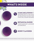 Zzzquil Pure Zzzs Kidz Kids Melatonin Gummy Sleep Aid Low Amount Of Melatonin For Kids With Chamomile And Lavender Melatonin 1 Mg Melatonin Gummies Kids Berry Flavored 72 Sleep Gummies