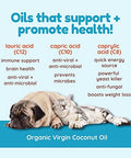 CocoTherapy Organic Virgin Coconut Oil Portable Packets for Pets, 12 x 10 ml packets
