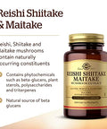 Solgar Multi-Mushroom Complex 50 Vegetable Capsules - Reishi Shiitake Maitake Mushroom Extract - Natural Source Of Beta Glucans - Non-Gmo Vegan Gluten Free Dairy Free 50 Servings