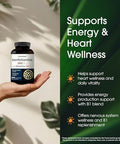 NatureBell Benfotiamine with Thiamine 240 Vegetarian Capsules 300mg Benfotiamine and 100mg Thiamine for Heart Health Energy Production and Nervous System Support* Vitamin B1 Complex