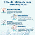 Oracoat Xylimelts Dry Mouth Relief Bundle Slightly Sweet 40 Count Mild Mint 40 Count And Cinnamon 40 Count