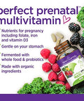 New Chapter Organic Perfect Prenatal 192 CT