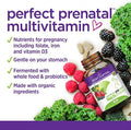 New Chapter Organic Perfect Prenatal 192 CT