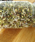 Black Beluga Lentils 5 Pounds Whole USDA Certified Organic, Non-GMO Bulk, Product of USA, Mulberry Lane Farms