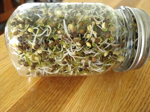 Black Beluga Lentils 5 Pounds Whole USDA Certified Organic, Non-GMO Bulk, Product of USA, Mulberry Lane Farms