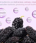Wanhua Hall Premium Dried Black Mulberries Fruit Black Mulberry Tea No Sugar Added, No Additives, All Natural, Unsulfured Great for Desserts and Tea, Healthy Fruit Snack Ã©Â»â€˜Ã¦Â¡â€˜Ã¦Â¤Â¹Ã¥Â¹Â² Ã¦Â¡â€˜Ã¨â€˜Å¡280g/10oz