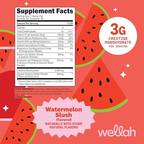 Wellah Creatine Electrolytes Powder (Watermelon Slush) 30 Servings - Hydration Drink Mix With 3G Of Creatine Monohydrate