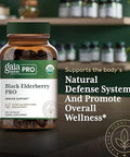 Gaia Pro Black Elderberry Pro