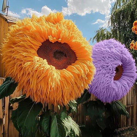 800pcs Teddy Bear Sunflower Seeds for Planting Giant Teddy Bear Sun Flower Seed Heirloom Attracts Pollinators