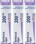 Boiron Sambucus Nigra 200Ck Homeopathic Elderberry For Hoarseness With Painful Cough And Nasal Congestion Pack Of 3 (240 Pellets)