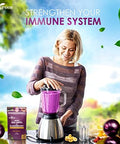 KIKI Green Sea Moss Powder Bundle Immune Support Superfood Complex 8 oz 6 oz Raw Sea Moss Burdock Root Bladderwrack Elderberry Extract for Immunity Boost Energy and Health Support