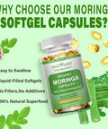 Hzzyplant Moringa Softgel Capsules Made With Pure Moringa Oleifera Leaf Green Superfood High Absorption Than Moringa Powder Capsules For Energy Immunity & Joint HealthVeganNon Gmo2 Month Supply